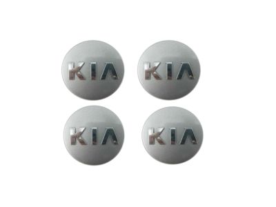 Kia Sportage Wheel Cover - 529601Y200