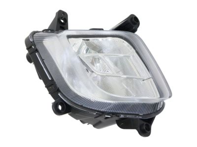 Fog Lamp, right, front