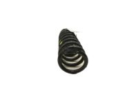 Kia Sportage Coil Springs - 553502S060 Rear Springs