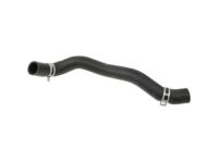 Kia 254153R200 Hose Assembly-RADAATOR Lower