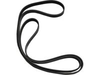 Kia 252123F501 Serpentine Belt