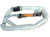 Kia 85010D9000 Curtain Air Bag Module, Left