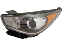 Kia 92101G5040 Driver Side Headlight Assembly