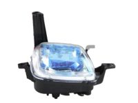 Kia 92201A9010 Front Fog Lamp Assembly, Left