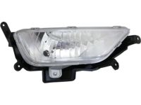 Kia 922024U010 Front Fog Lamp Assembly, Right