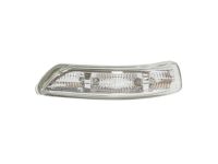 Kia 876132G000 Lamp Assembly-Outside Mirror