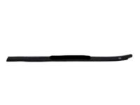 Kia 832102T000 WEATHERSTRIP Assembly-Rear Door Belt