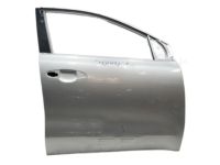 Kia 76004D9000 Panel Assembly-Front Door