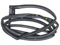 Kia 831402F000 WEATHERSTRIP Assembly-Rear Door Side