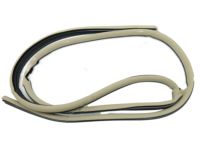 Kia 821102G000J7 WEATHERSTRIP-Front Door Body Side