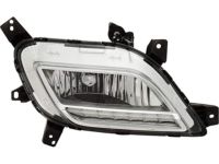 Kia 92201G5000 Front Fog & Daytime Running Lamp Assembly, Left