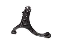 Kia 54501A9100 Arm Complete-Front Lower