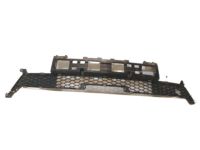 Kia 865612J000 Front Bumper Mesh, Center