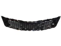 Kia 86350D5010 Radiator Grille Assembly