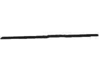 Kia 832201M000 WEATHERSTRIP Assembly-Rear Door Belt