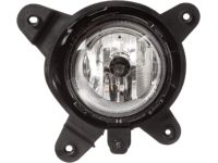 Kia 922011L000 Front Fog Lamp Assembly, Left