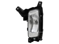 Kia 922011U500 Front Fog Lamp Assembly, Left