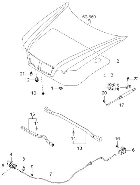 Hood Trim - 2004 Kia Optima