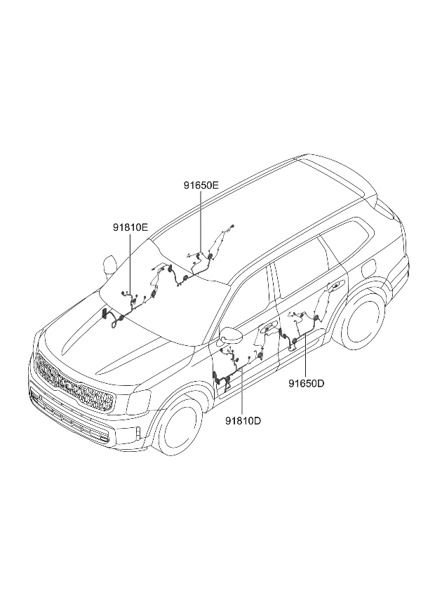 Kia 91605S9140 WIRING ASSY-FR DR(DR