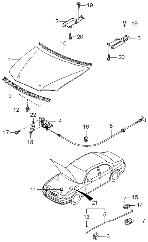 1997 Kia Sephia Hinge Assembly,LH Diagram for 0K2AA52420