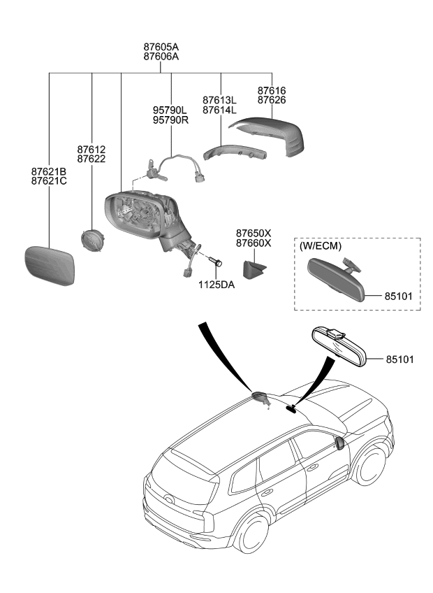 2020 Kia Telluride Mirror-Outside Rear View - Kia Parts Now