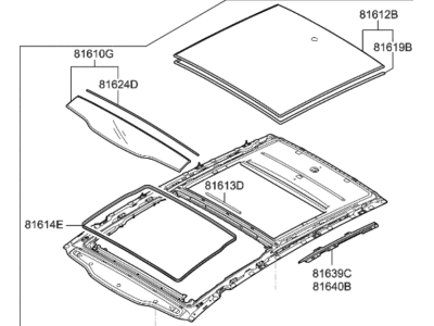 Kia 81620D9031